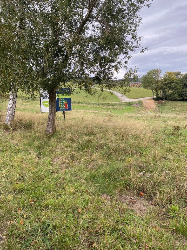 Działka budowlana Zagórze Śląskie. Zdjęcie 5