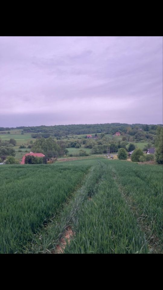 Działka rolno-budowlana Poręba Spytkowska, ul. Graniczna. Zdjęcie 4