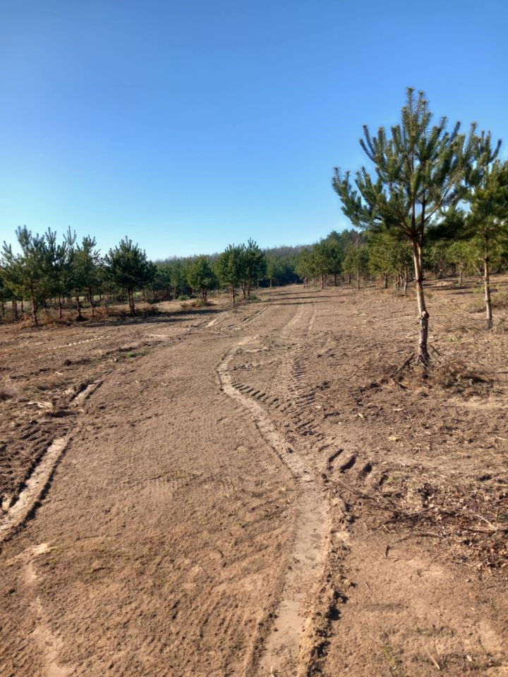 Działka rolno-budowlana Gucin. Zdjęcie 5