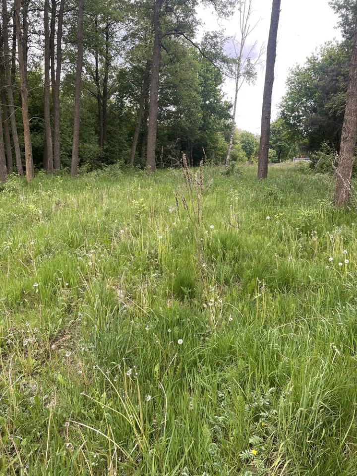 Działka inwestycyjna Radom, ul. Kończycka. Zdjęcie 5