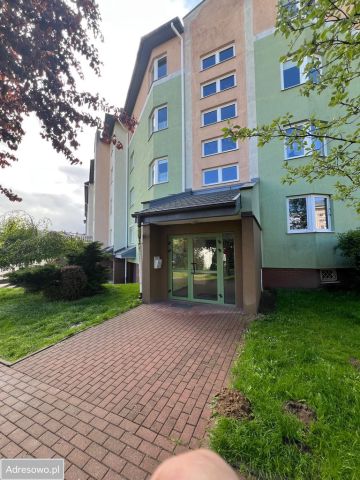 Mieszkanie 2-pokojowe Gdańsk Chełm, ul. Rogalińska. Zdjęcie 1