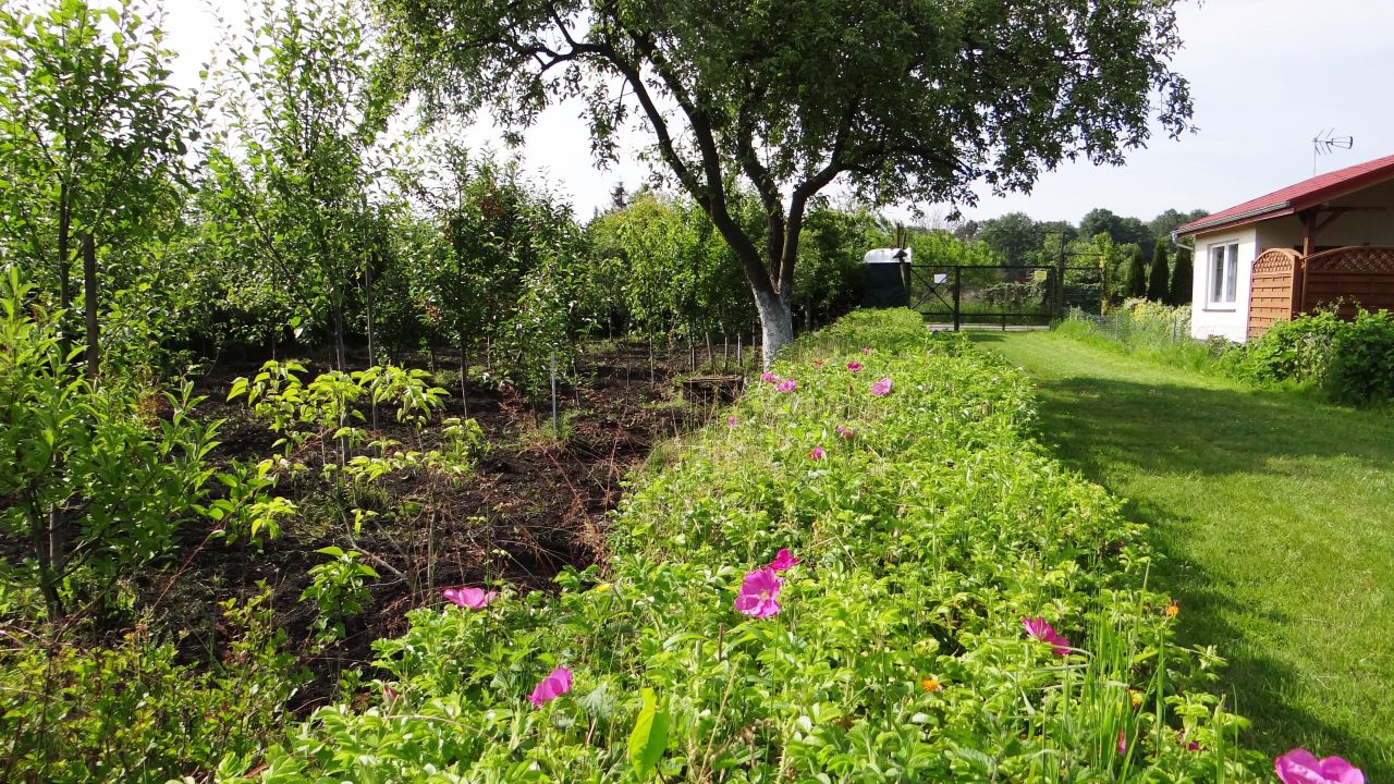 Działka rod Piła Centrum, ul. Różyckiego. Zdjęcie 4