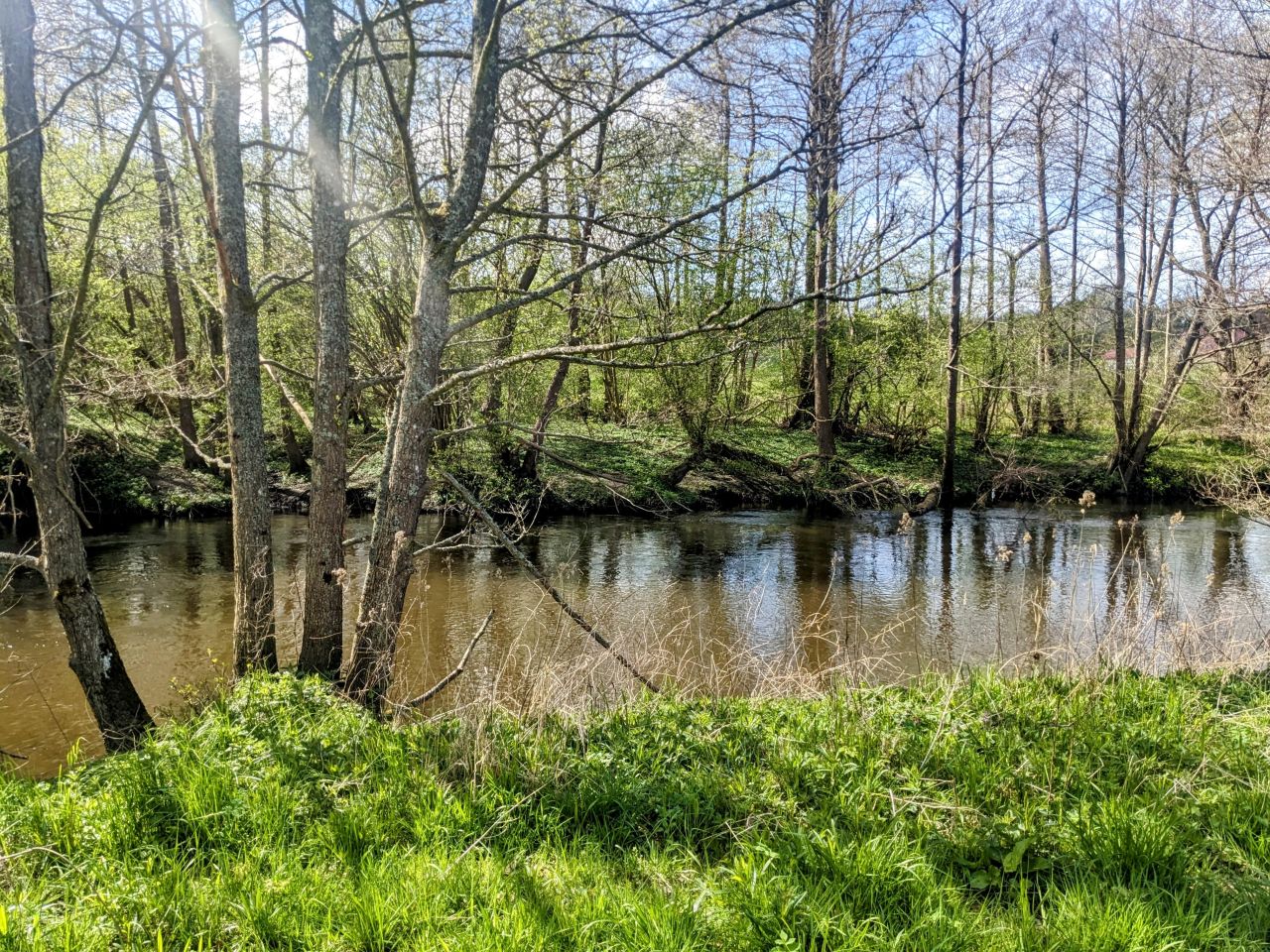 Działka rolno-budowlana Niestkowo