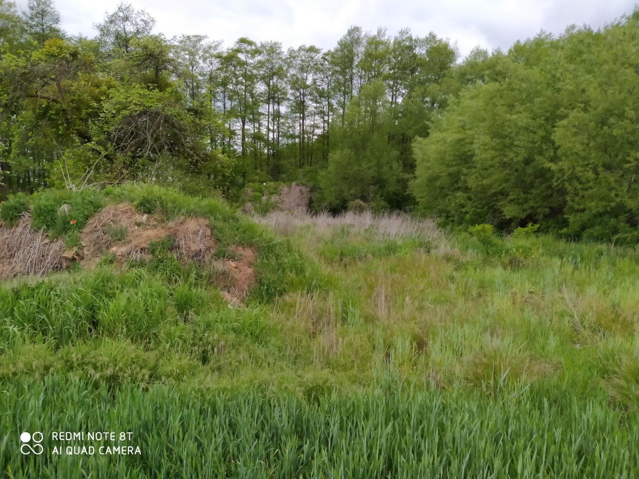 Działka budowlana Podrzewie, ul. Długa. Zdjęcie 10