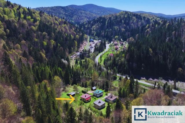 dom wolnostojący, 3 pokoje Żubracze. Zdjęcie 2