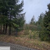 Działka rolno-budowlana Bolechowo. Zdjęcie 2