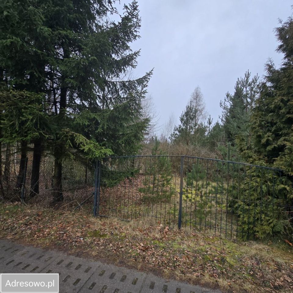 Działka rolno-budowlana Bolechowo. Zdjęcie 3