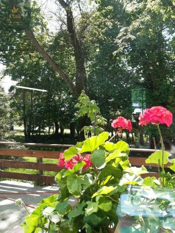 inny, 3 pokoje Luciny. Zdjęcie 4