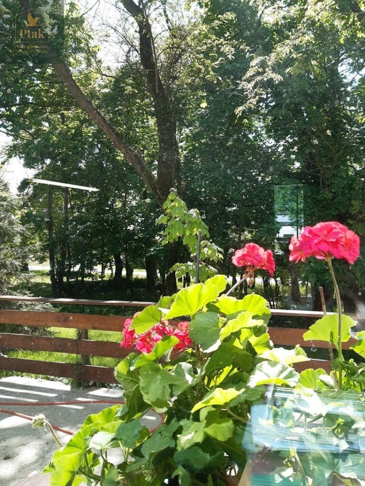 inny, 3 pokoje Luciny. Zdjęcie 4