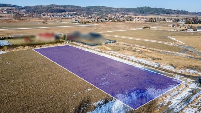 Działka Wojcieszyce. Zdjęcie 5