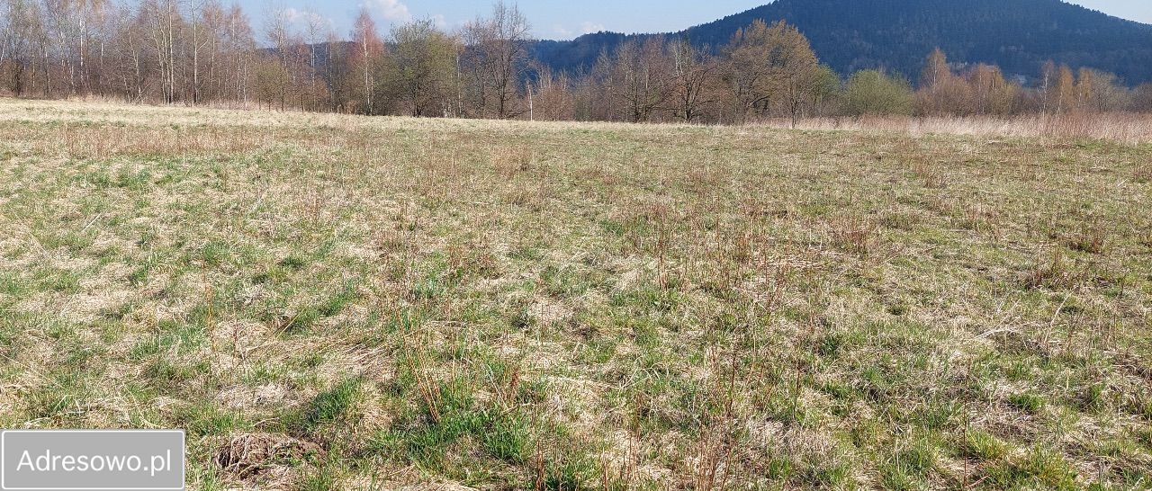 Działka rolna Stryszów. Zdjęcie 3