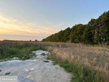 Działka budowlana Miłobądz. Zdjęcie 1