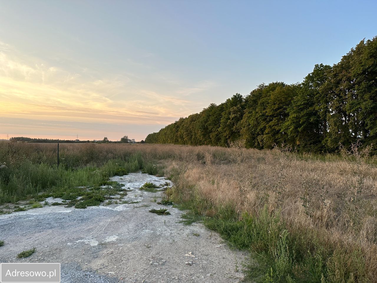 Działka budowlana Miłobądz. Zdjęcie 2