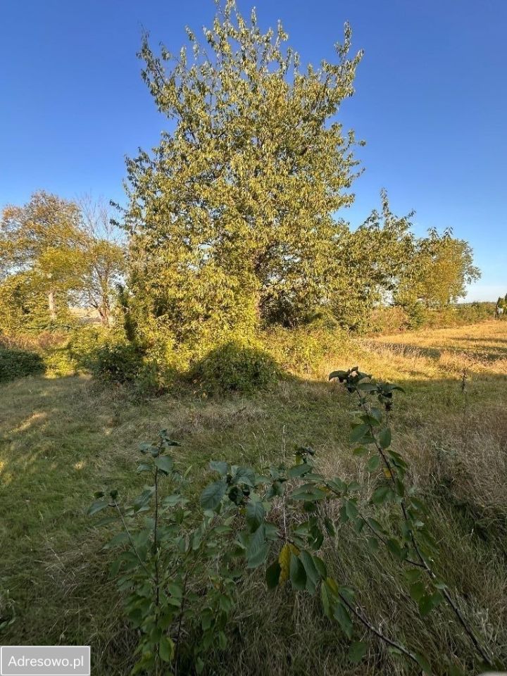Działka rolno-budowlana Czachów. Zdjęcie 2
