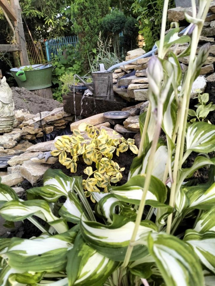 Działka rod Zabrze Helenka. Zdjęcie 4