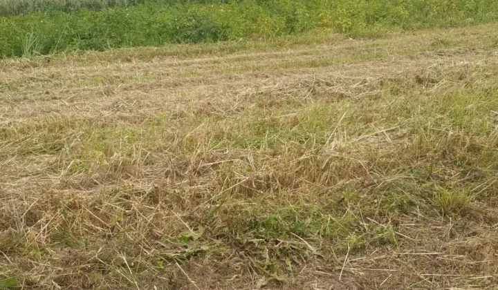 Działka budowlana Tarnów, ul. Heleny Modrzejewskiej