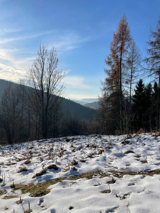 Działka budowlana Żarnówka. Zdjęcie 6