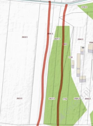 Działka leśna Lipa. Zdjęcie 1