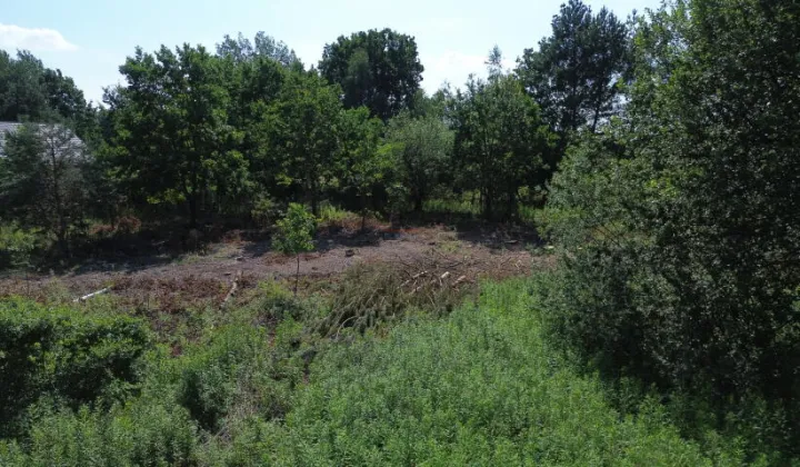 Działka budowlana Sierzchów