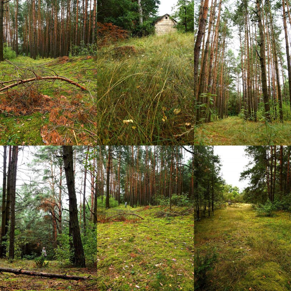 Działka budowlana Turna Duża. Zdjęcie 42