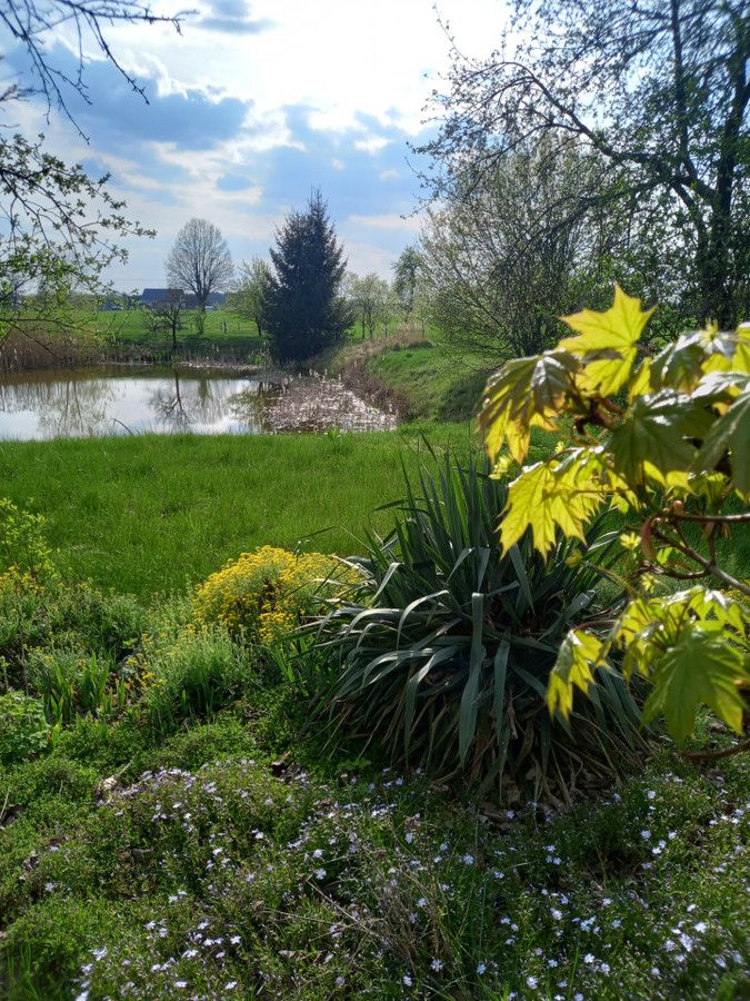 dom wolnostojący, 5 pokoi Anusin. Zdjęcie 5