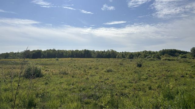 Działka rolna Pęplino. Zdjęcie 1