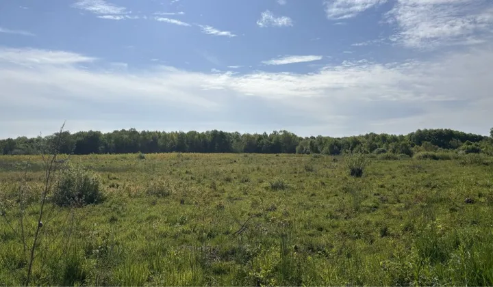 Działka rolna Pęplino