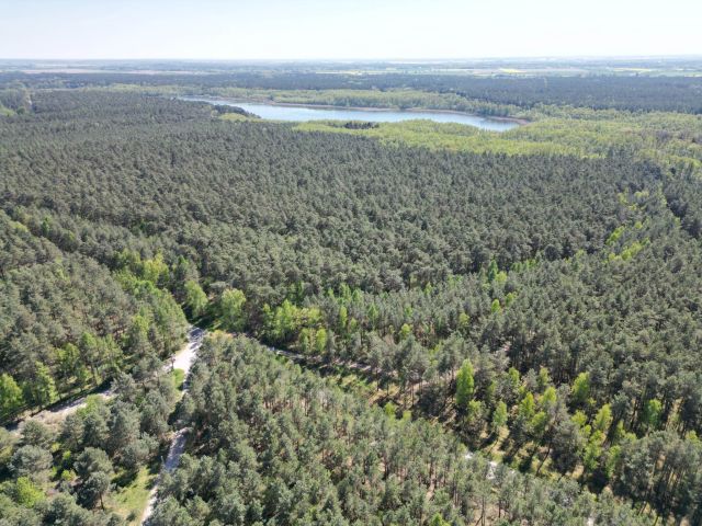 Działka budowlana Stęszewko, ul. Wiejska. Zdjęcie 10