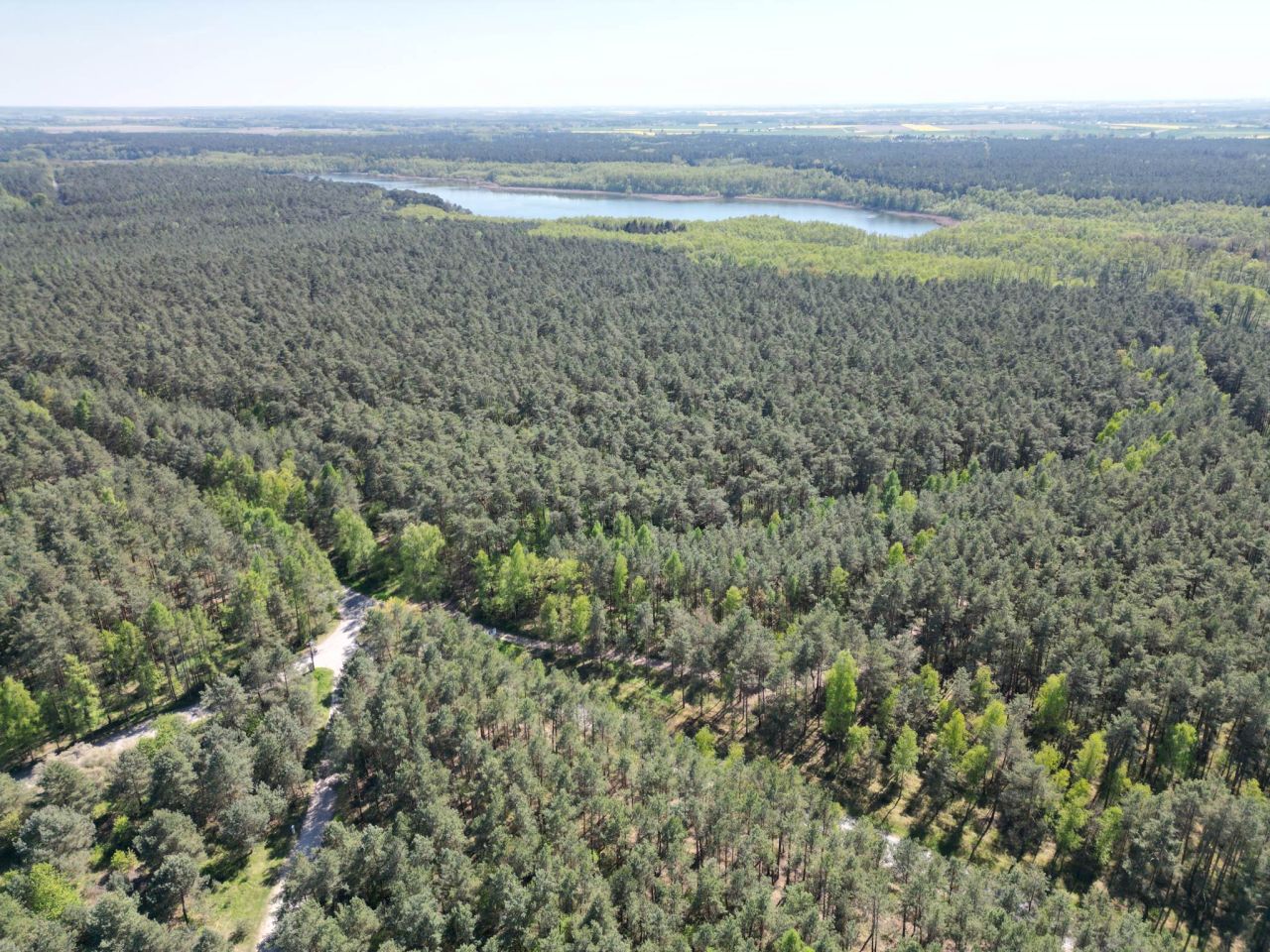 Działka budowlana Stęszewko, ul. Wiejska. Zdjęcie 10