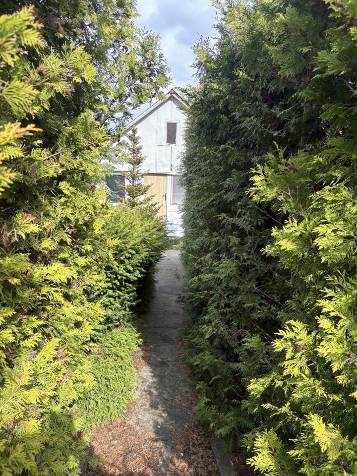 Działka rod Kajetany, ul. Rolna. Zdjęcie 16