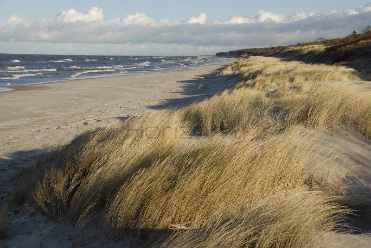 Działka rolna Grzybowo. Zdjęcie 10