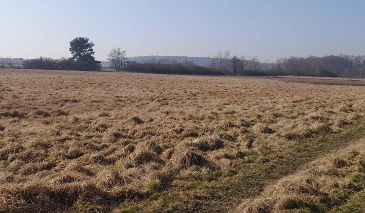 Działka rolna Szczytniki nad Kaczawą