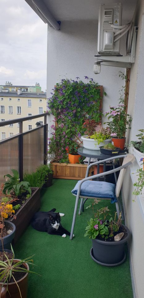 Mieszkanie 3-pokojowe Giżycko, ul. Konarskiego. Zdjęcie 7