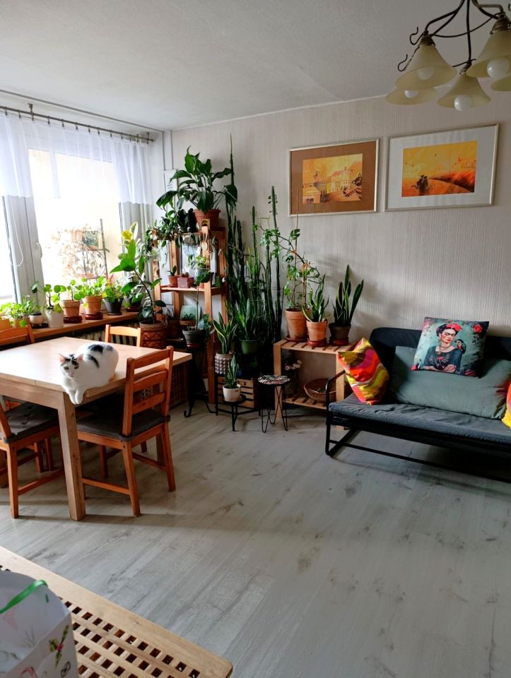 Mieszkanie 3-pokojowe Kraków Prokocim, ul. Lilli Wenedy. Zdjęcie 3