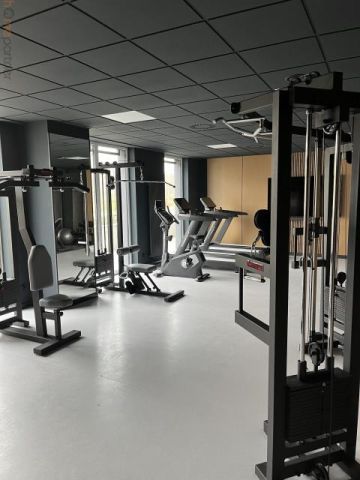 Mieszkanie 1-pokojowe Wrocław Stare Miasto, ul. Braniborska. Zdjęcie 11