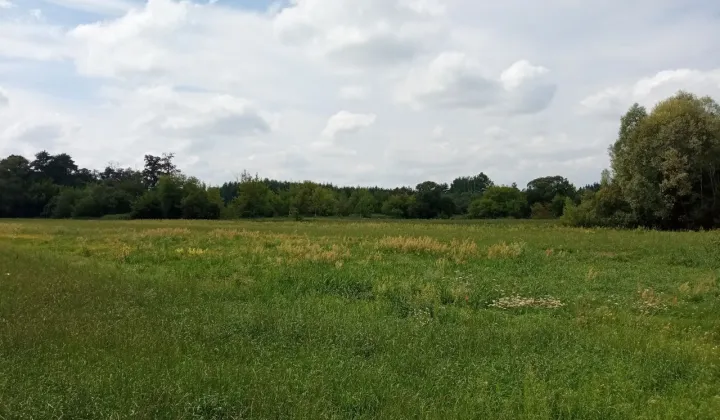 Działka rekreacyjna Nowe Kęszyce