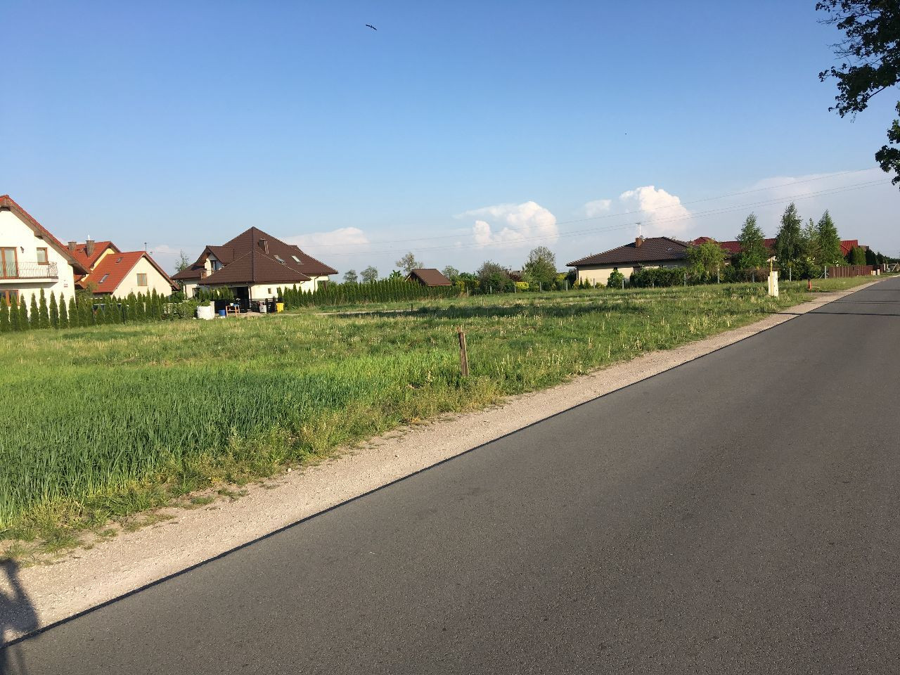 Działka budowlana Jacewo. Zdjęcie 8