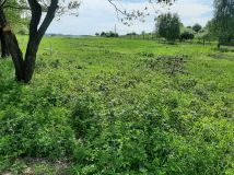 Działka rolna Sanok Dąbrówka Polska. Zdjęcie 1