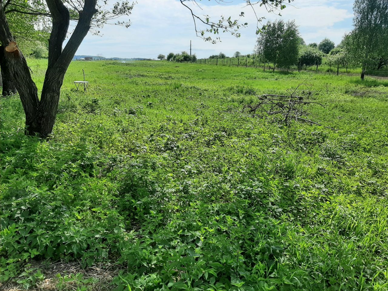 Działka rolna Sanok Dąbrówka Polska. Zdjęcie 2