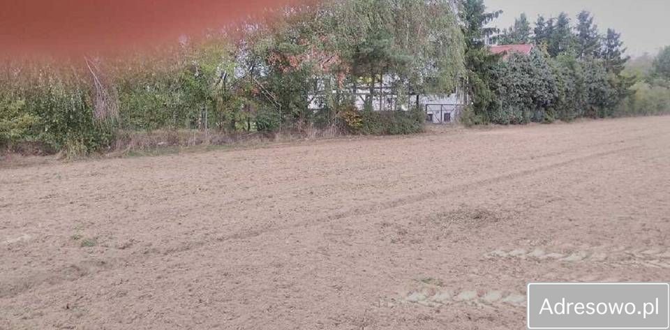 Działka rolna Jaraczewo. Zdjęcie 3