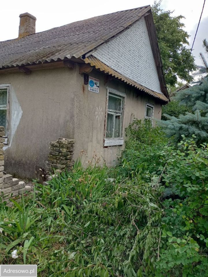 siedlisko Tchórzew-Kolonia. Zdjęcie 15