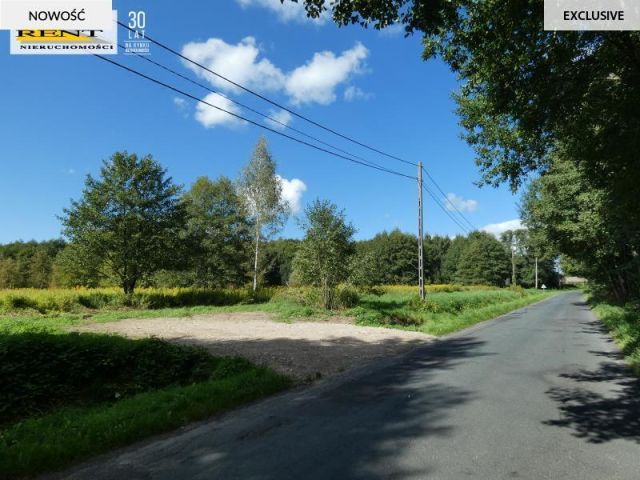 Działka budowlana Łoźnica. Zdjęcie 1