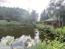 Działka budowlana Stare Kupiski, ul. Pogodna. Zdjęcie 4