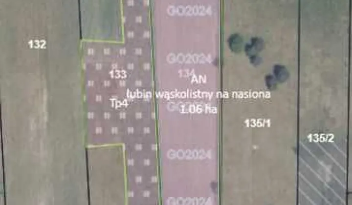 Działka budowlana Bedlenko