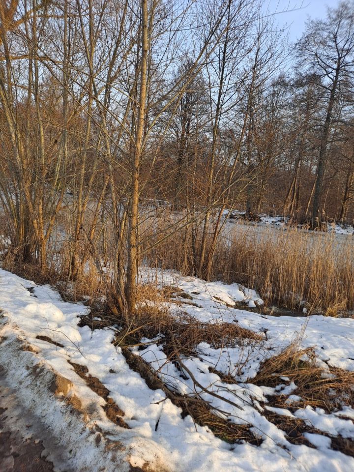 Działka budowlana Dębinka. Zdjęcie 2