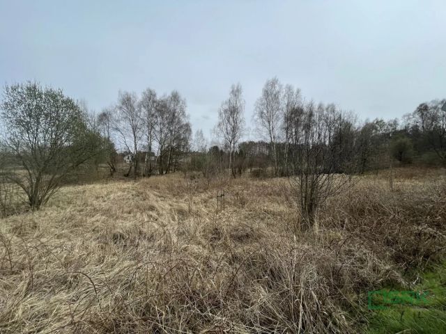 Działka budowlana Rybnik Niedobczyce, ul. Ludwika Zamenhofa. Zdjęcie 2