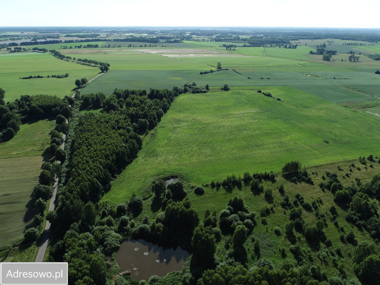 Działka inwestycyjna Żółtnica. Zdjęcie 2