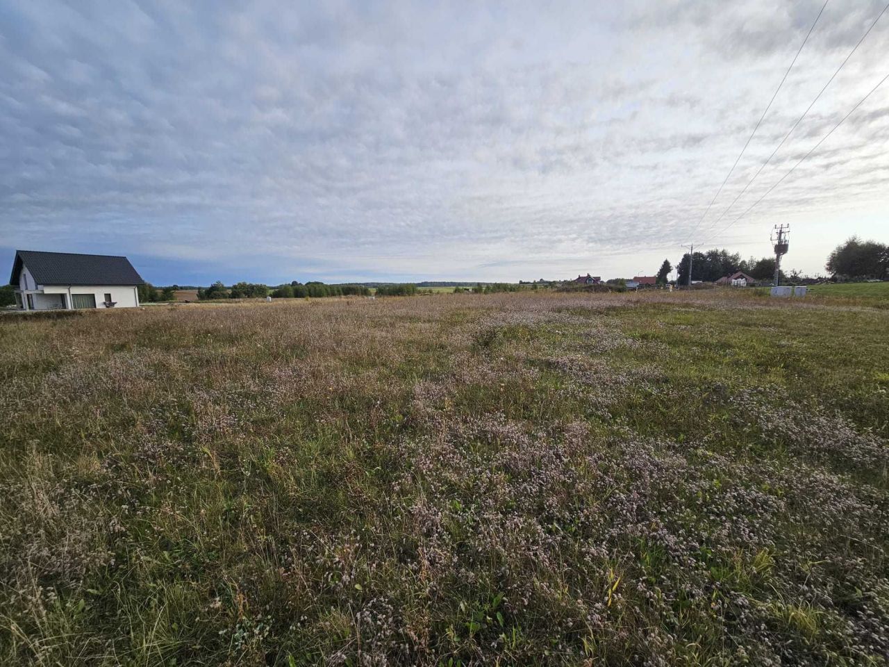 Działka siedliskowa Olsztynek. Zdjęcie 5