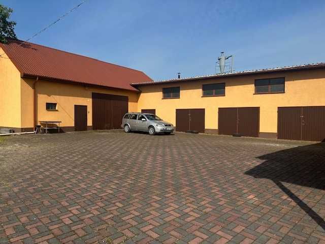 gospodarstwo Łęka Mroczeńska. Zdjęcie 6