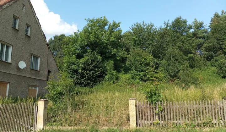 dom wolnostojący, 4 pokoje Ścinawa Mała, ul. Niemodlińska